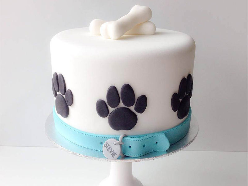 Dog Birthday Cake Dog Birthday Cake