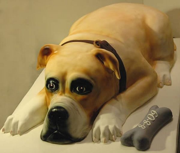 Dog Birthday Cake Dog Birthday Cake