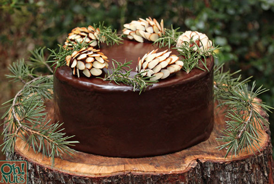Pine Cone Chocolate Cake Pine Cone Chocolate Cake