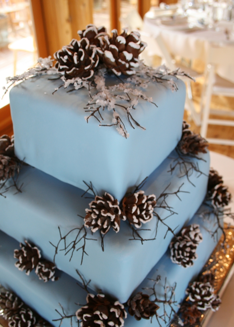 12 Photos of Christmas Cakes With Pine Cones 12 Photos of Christmas Cakes With Pine Cones