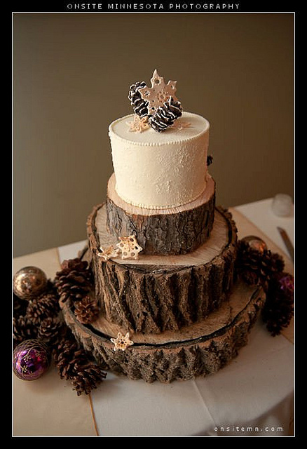 Rustic Winter Wedding Cake with Pine Cones Rustic Winter Wedding Cake with Pine Cones