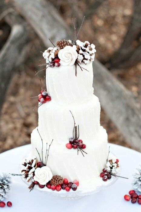 Winter Wedding Cake Winter Wedding Cake