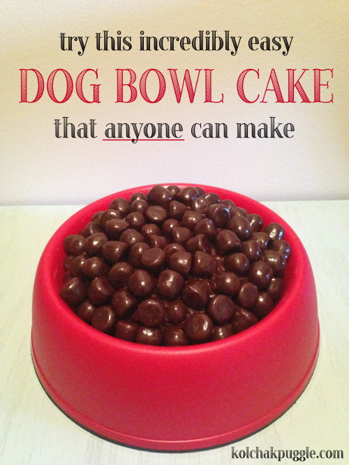 dog-bowl-birthday-cake_423590.jpg