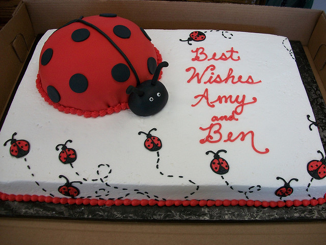 ladybug sheet