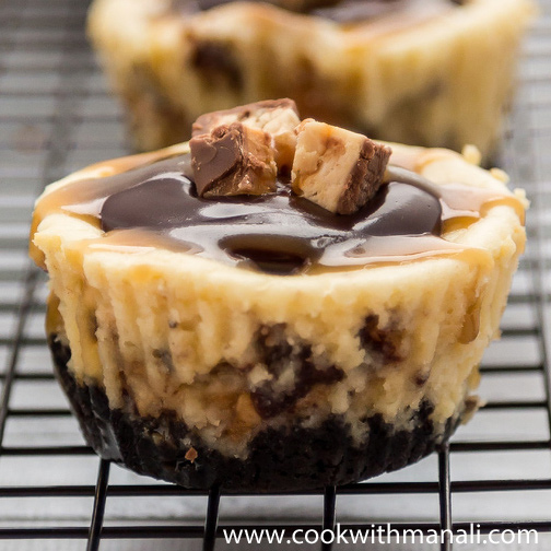 5 Photos of Mini Snickers Caramel Cheesecakes 5 Photos of Mini Snickers Caramel Cheesecakes