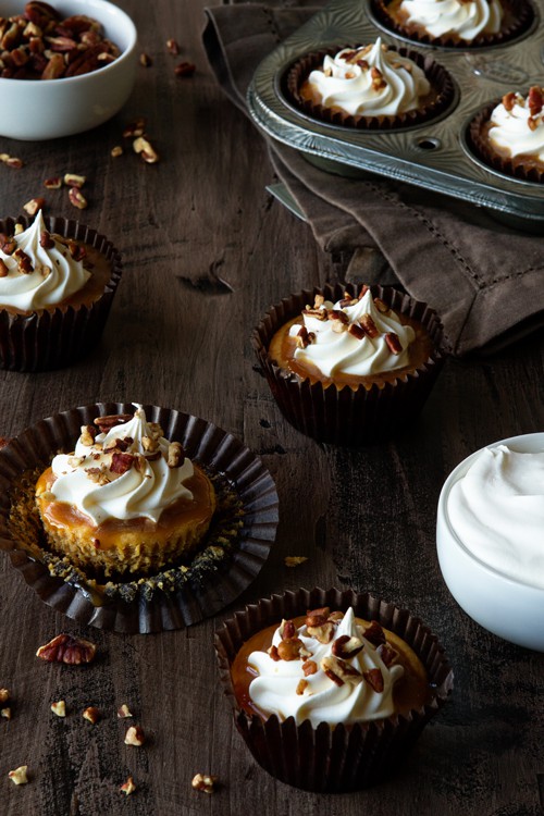 Pumpkin Cheesecake with Salted Caramel Sauce Pumpkin Cheesecake with Salted Caramel Sauce