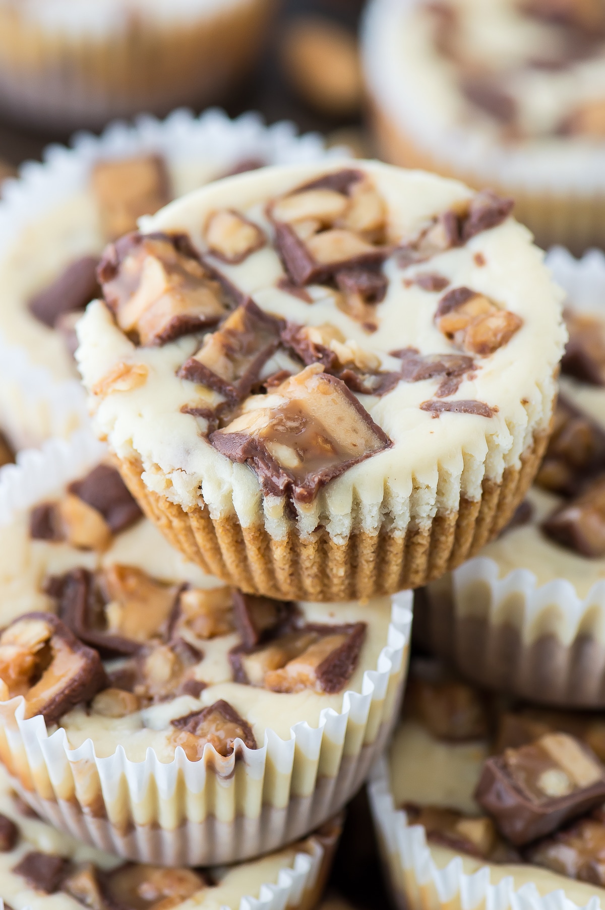 Recipe Mini Snickers Caramel Cheesecakes Recipe Mini Snickers Caramel Cheesecakes