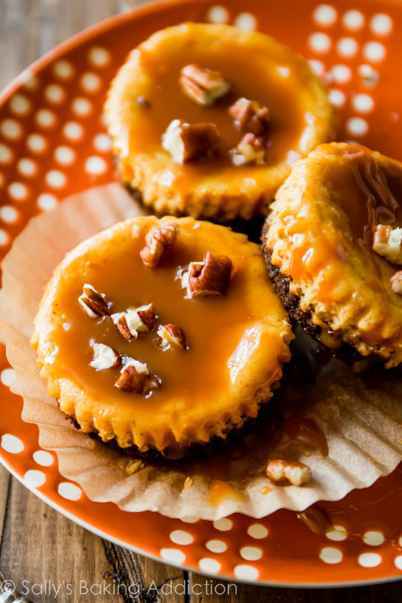 Salted Caramel Pumpkin Cheesecake Salted Caramel Pumpkin Cheesecake