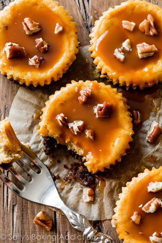 Salted Caramel Pumpkin Cheesecake Salted Caramel Pumpkin Cheesecake