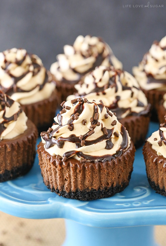Bailey's Chocolate Mini Cheesecakes Bailey's Chocolate Mini Cheesecakes