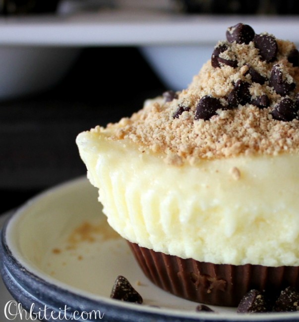 Reese's Bottom Cheesecake Reese's Bottom Cheesecake