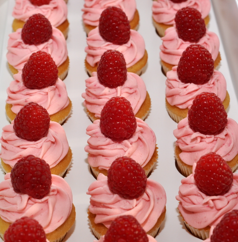 Mini Cupcakes On Top with Fruits Mini Cupcakes On Top with Fruits