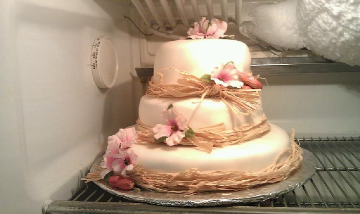 Country Themed Bridal Shower Cake Country Themed Bridal Shower Cake
