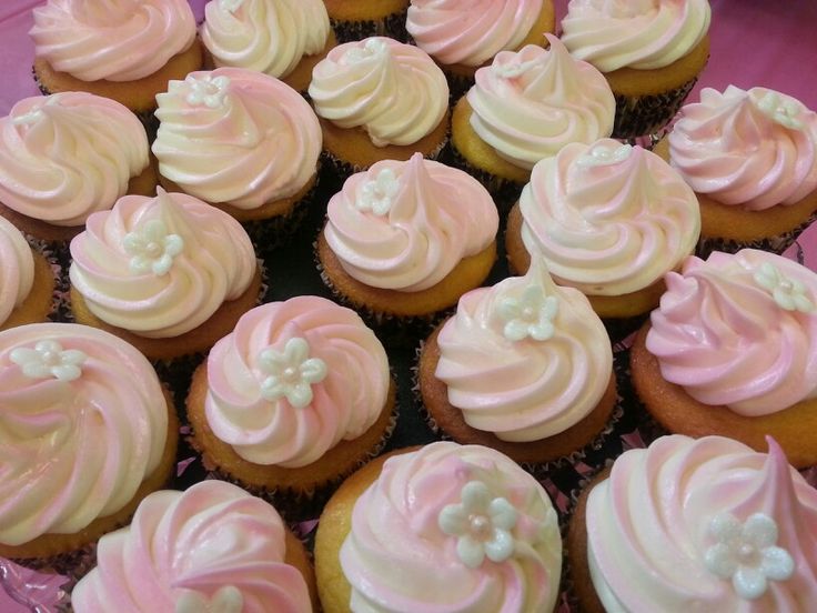 Pink Cupcake with Icing Pink Cupcake with Icing