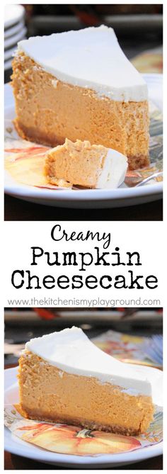 Pumpkin Cheesecake Recipe Pumpkin Cheesecake Recipe
