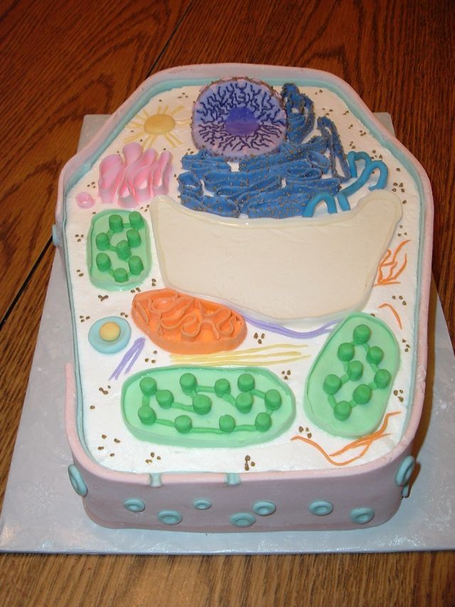 3D Plant Cell Model Cake