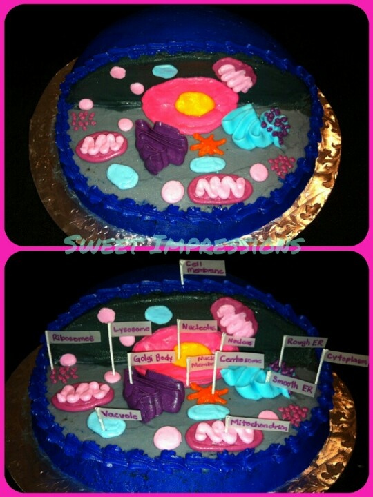 Animal Cell Model Project Cake