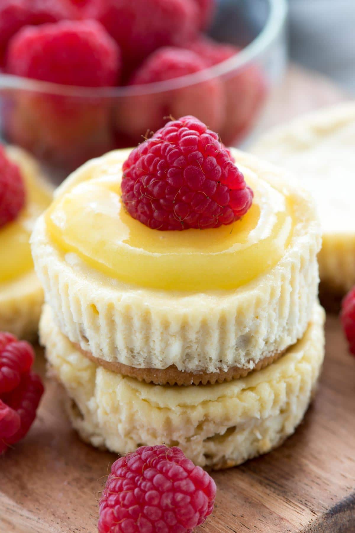 Easy Mini Cheesecake Recipe Easy Mini Cheesecake Recipe