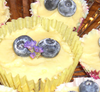 Is Jello Gluten Free Cheesecake Pudding Is Jello Gluten Free Cheesecake Pudding