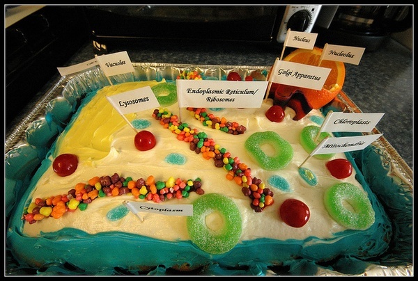 Labeled Plant Cell Model Cake