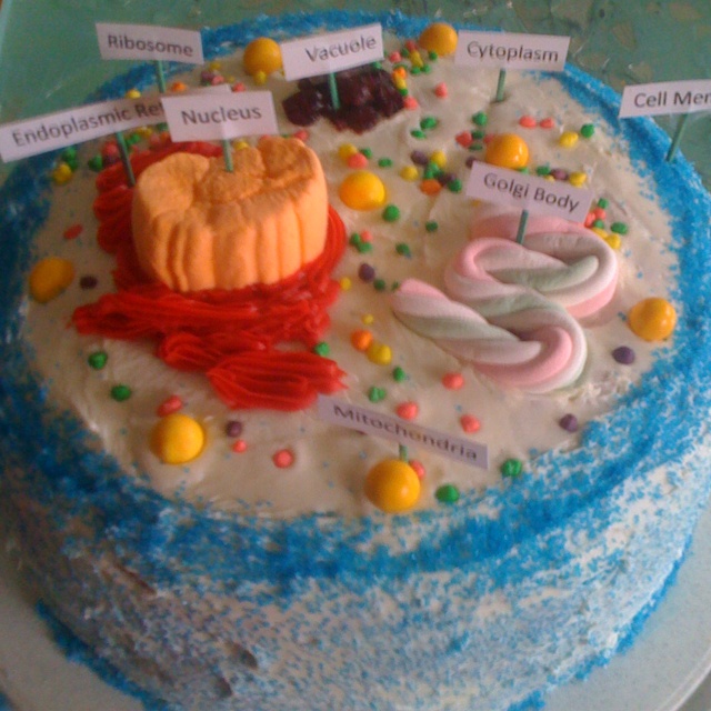 Plant Cell Cake Project