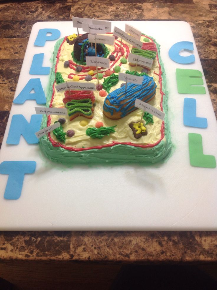 Plant Cell Cake Science Project
