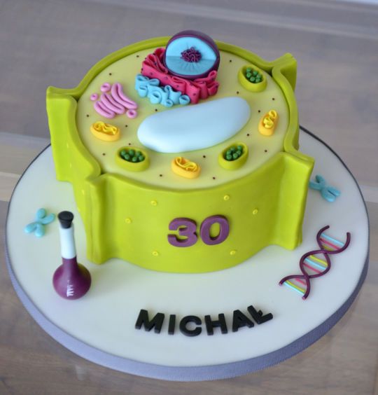 Plant Cell Cake