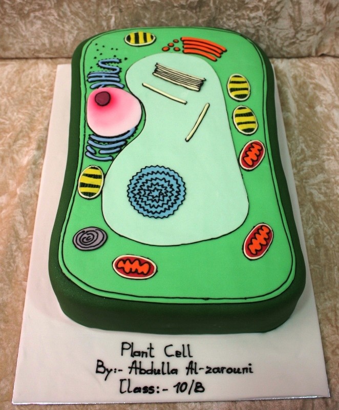 Plant Cell Cake