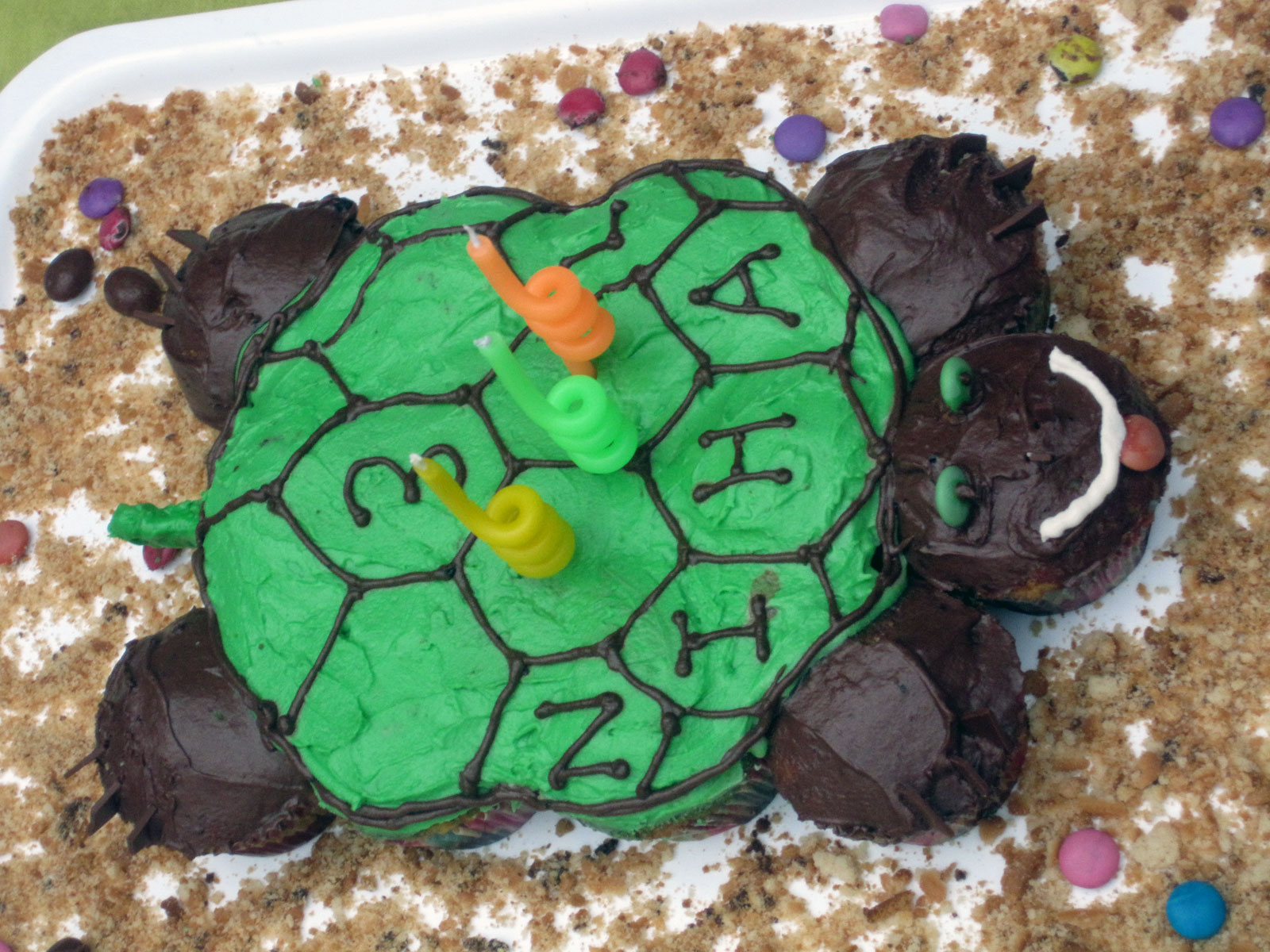 Pull Apart Turtle Cake Pull Apart Turtle Cake