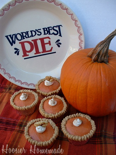 Pumpkin Pie Pumpkin Pie