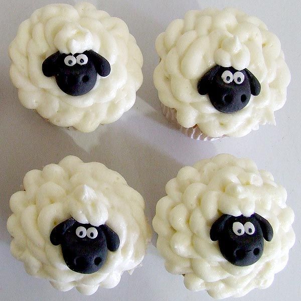 Sheep Cupcakes Sheep Cupcakes