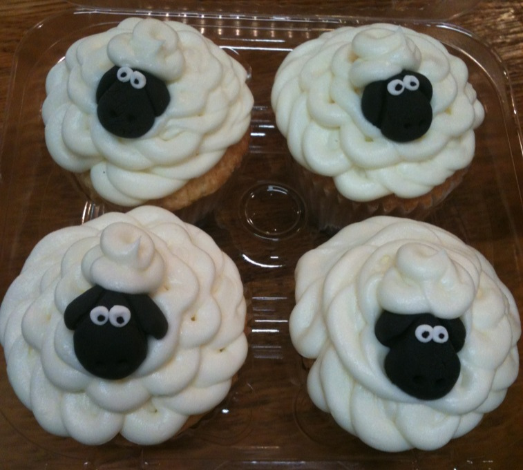 Sheep Cupcakes Sheep Cupcakes