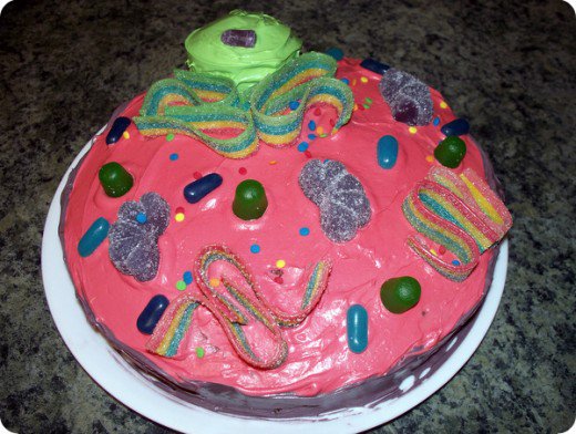 3D Animal Cell Cake Project 3D Animal Cell Cake Project
