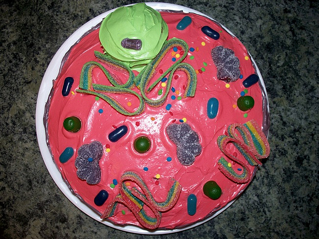 3D Animal Cell Model Cake 3D Animal Cell Model Cake