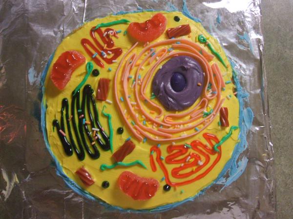 3D Animal Cell Model Project Ideas 3D Animal Cell Model Project Ideas