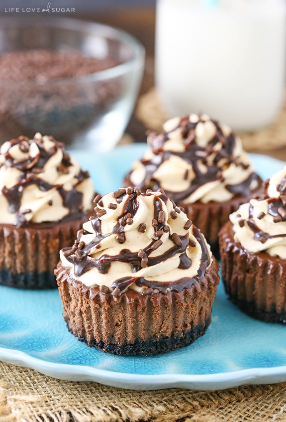 Bailey's Chocolate Mini Cheesecakes Bailey's Chocolate Mini Cheesecakes