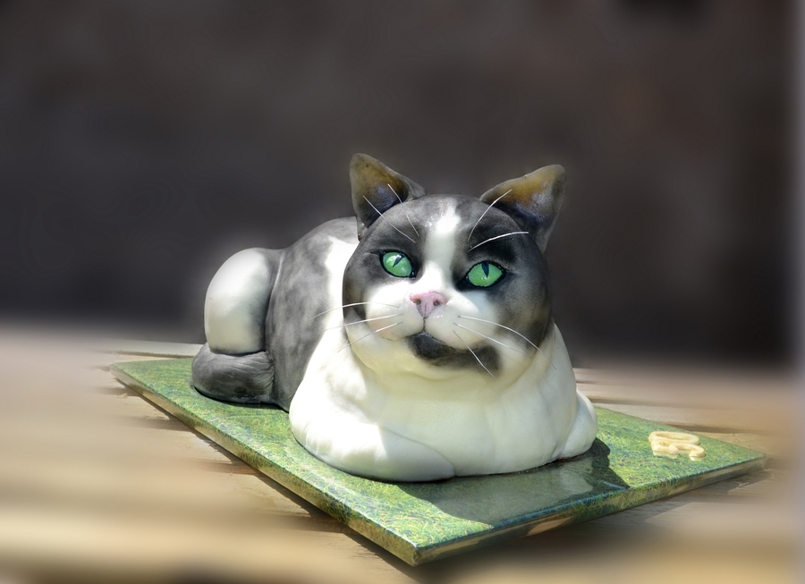 9 kitten 3d cakes