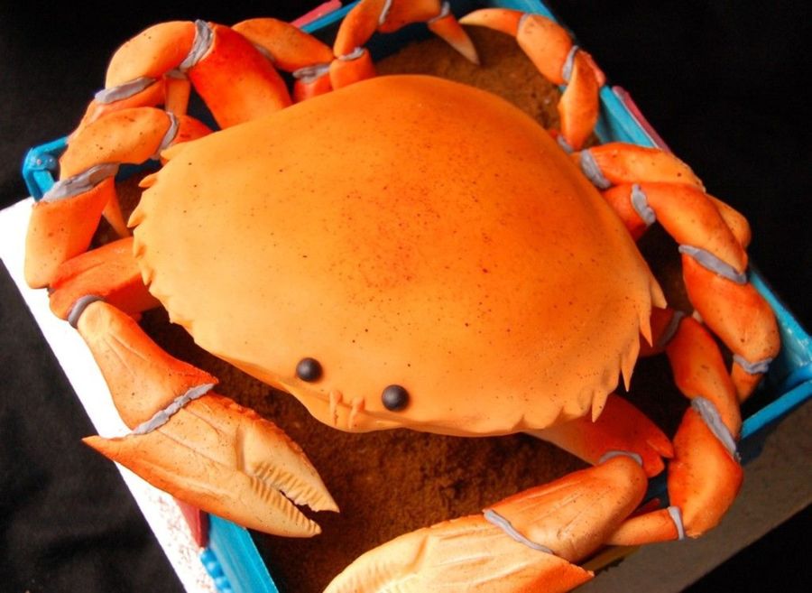 Crab Birthday Cake Crab Birthday Cake