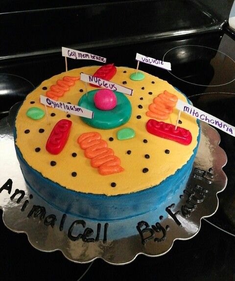 Edible Animal Cell Cake Projects Edible Animal Cell Cake Projects
