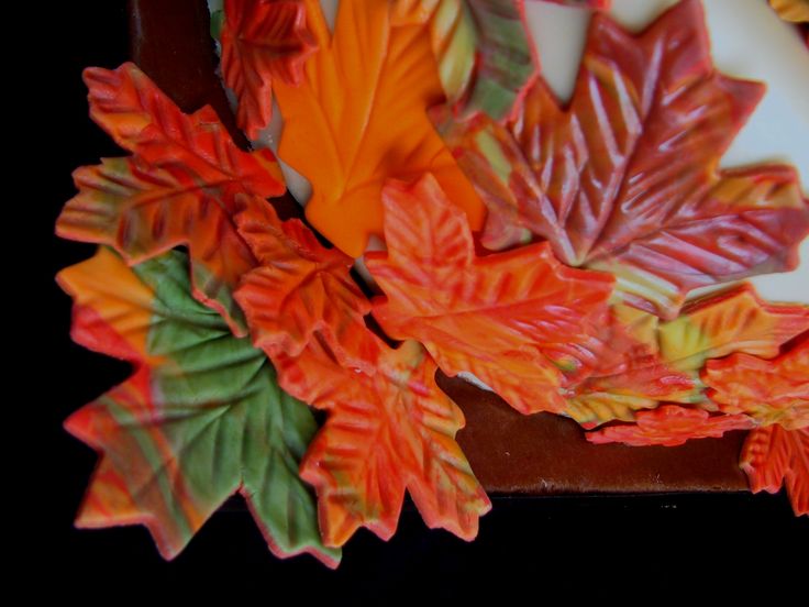 Fall Leaves Color Fall Leaves Color