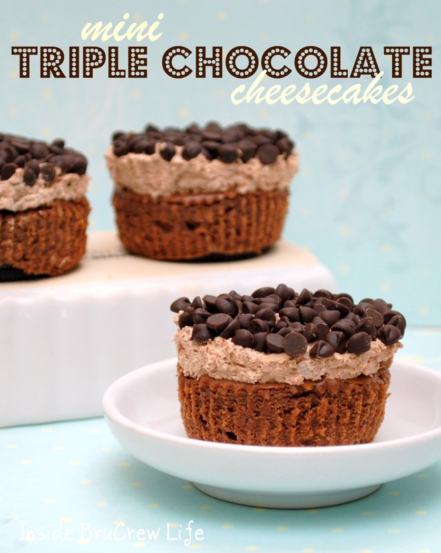 Triple Chocolate Mini Cheesecakes Triple Chocolate Mini Cheesecakes