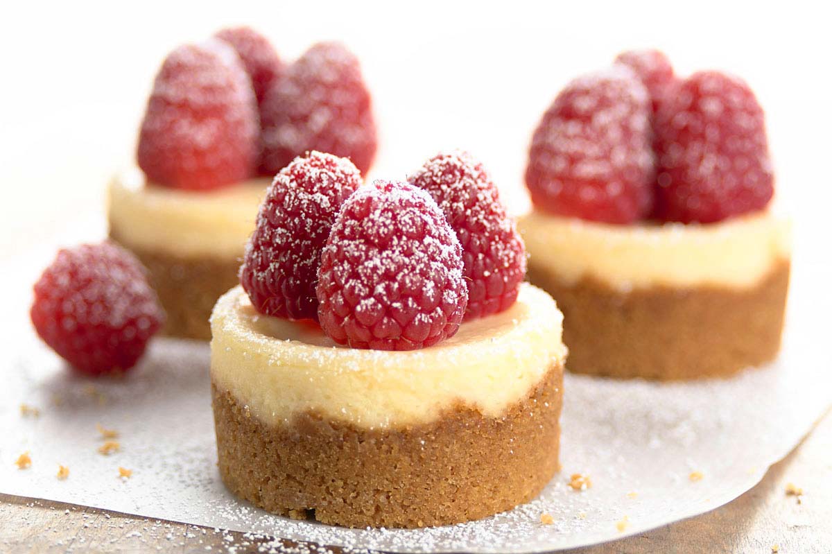 Mini Cheesecake Recipe Mini Cheesecake Recipe