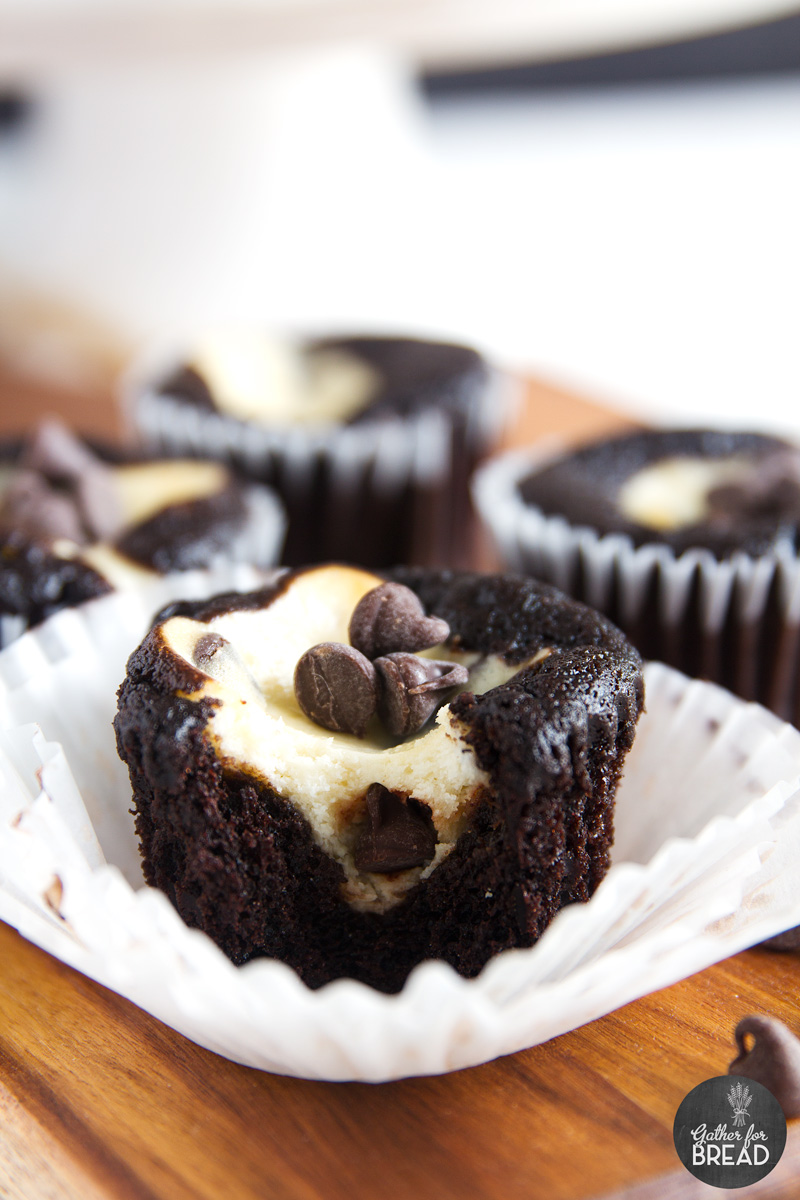 Black Bottom Cupcakes with Cream Cheese Black Bottom Cupcakes with Cream Cheese