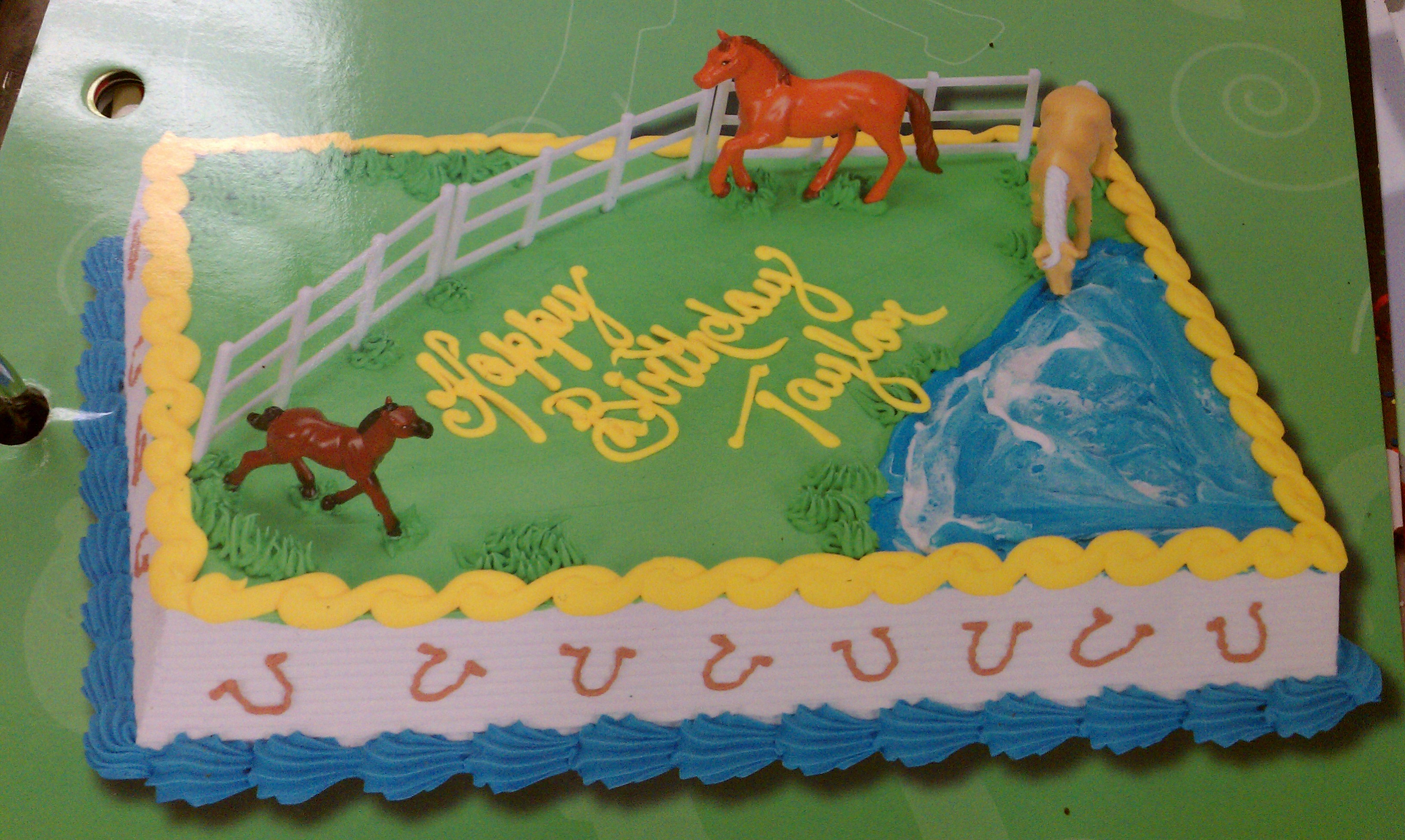 Hannaford Birthday Cakes