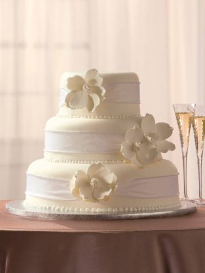 Publix Bakery Wedding Cakes Publix Bakery Wedding Cakes