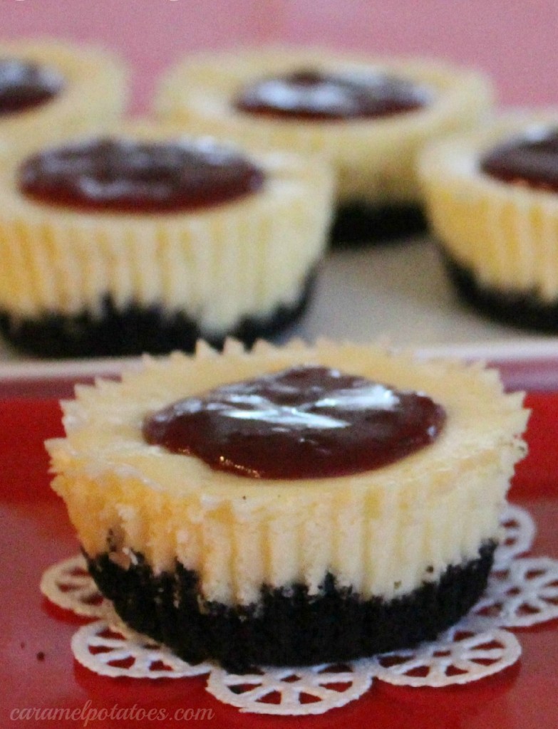 Raspberry Black Bottom Mini Cheesecakes Raspberry Black Bottom Mini Cheesecakes
