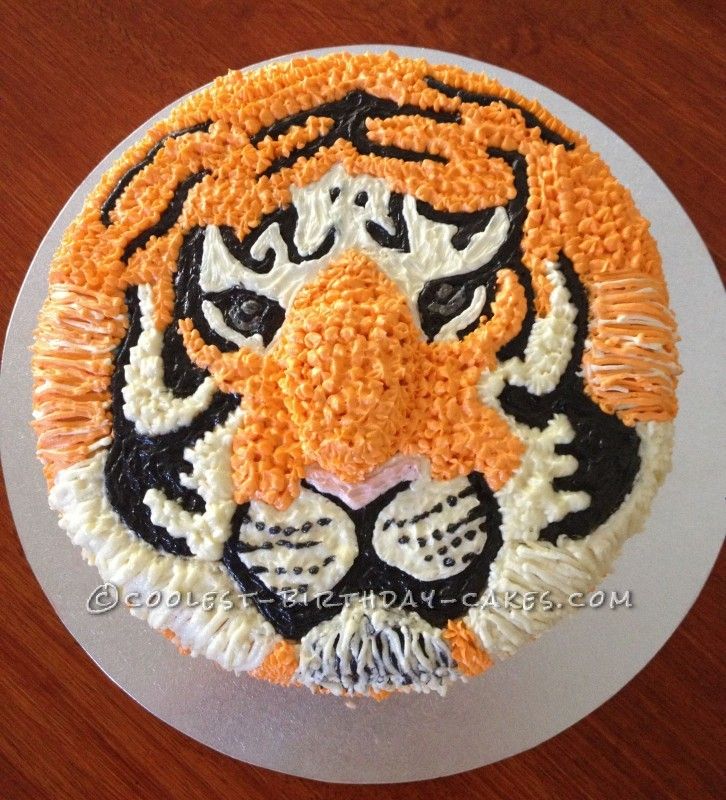 Tiger Birthday Cake Ideas
