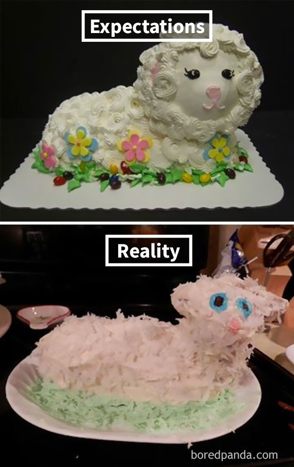 Cake Expectation vs Reality