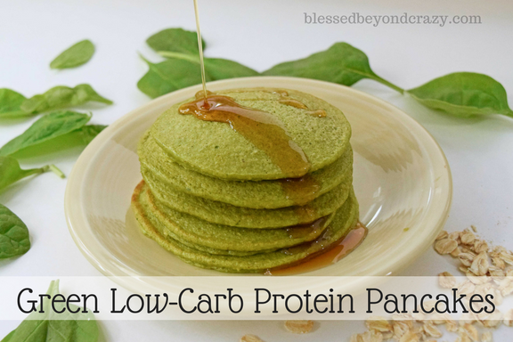 Low Carb Protein Low Carb Protein