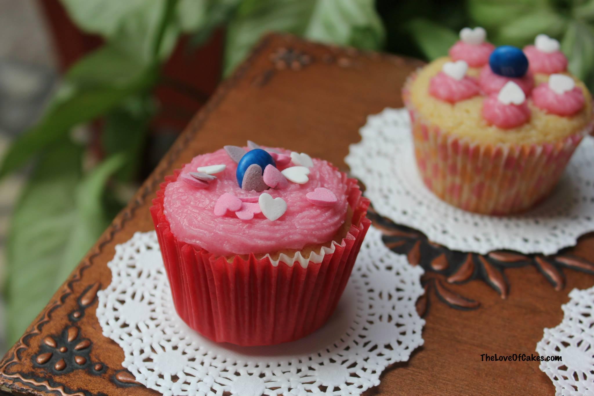 Pink Cupcake with Chocolate Frosting